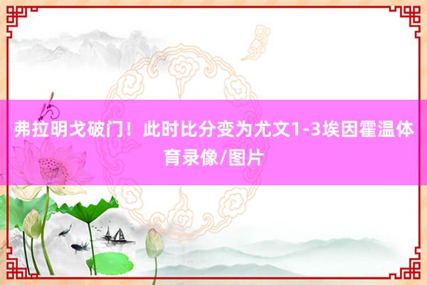 弗拉明戈破门！此时比分变为尤文1-3埃因霍温体育录像/图片