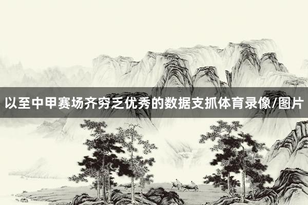以至中甲赛场齐穷乏优秀的数据支抓体育录像/图片